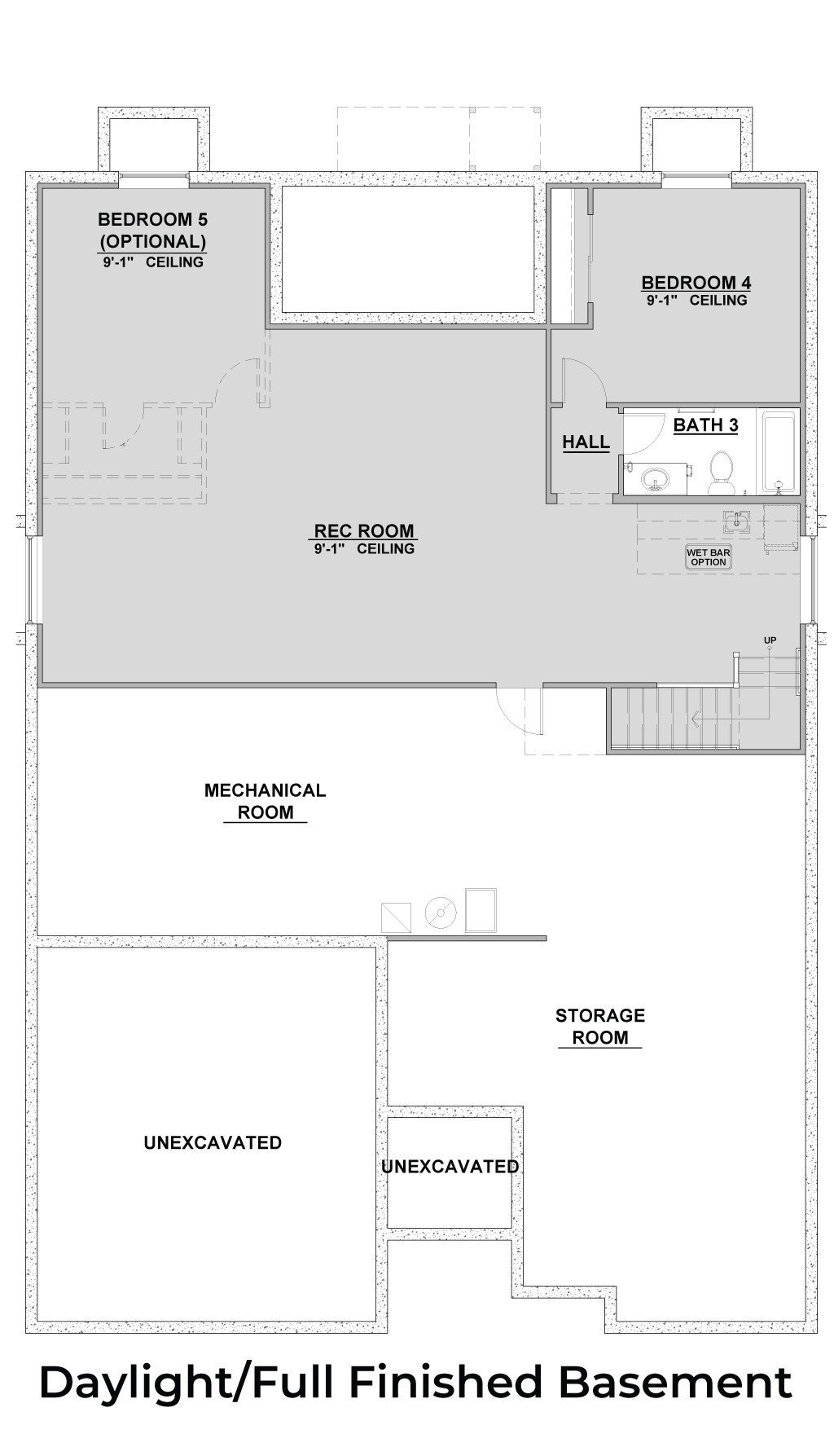 2300-Daylight Full Finished Basement